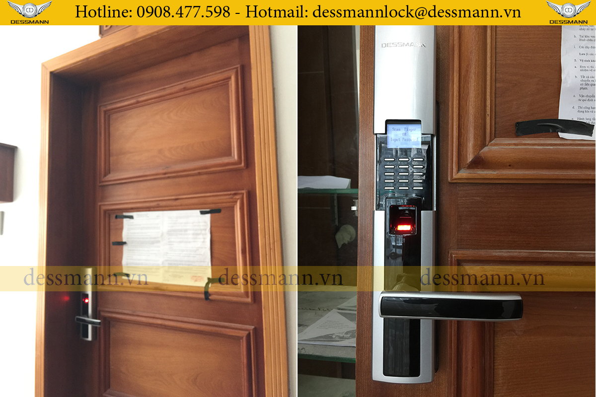 Dessmann S510 II Phu Hoang Anh 1