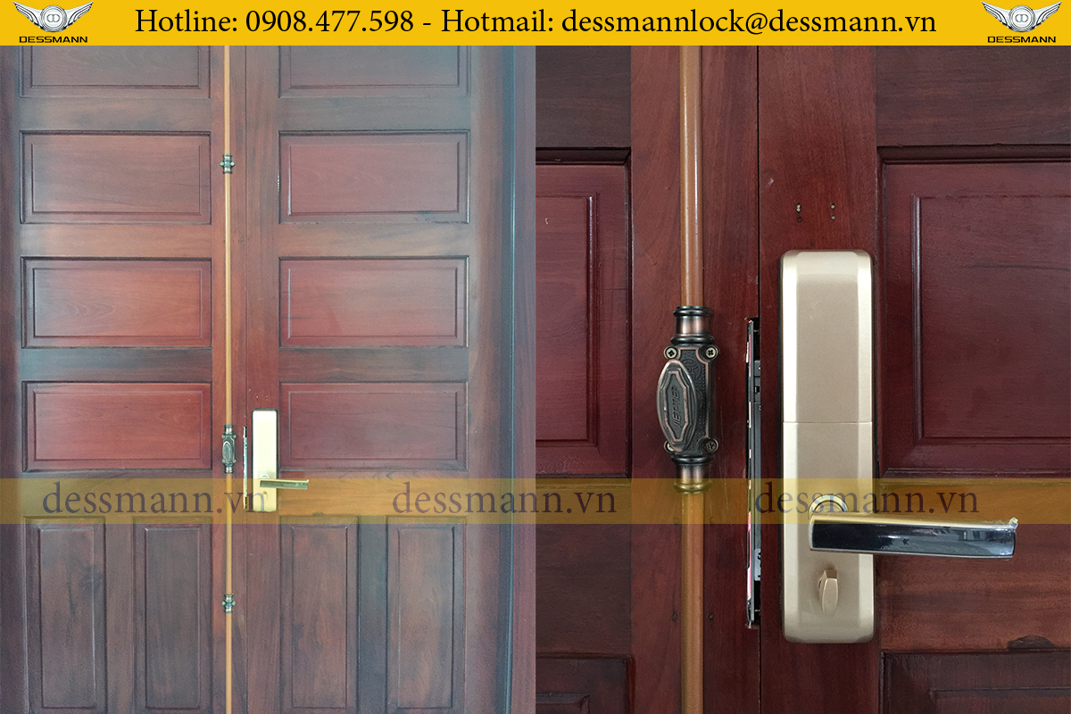 Dessmann S510 II Viet Hung Ha noi 1