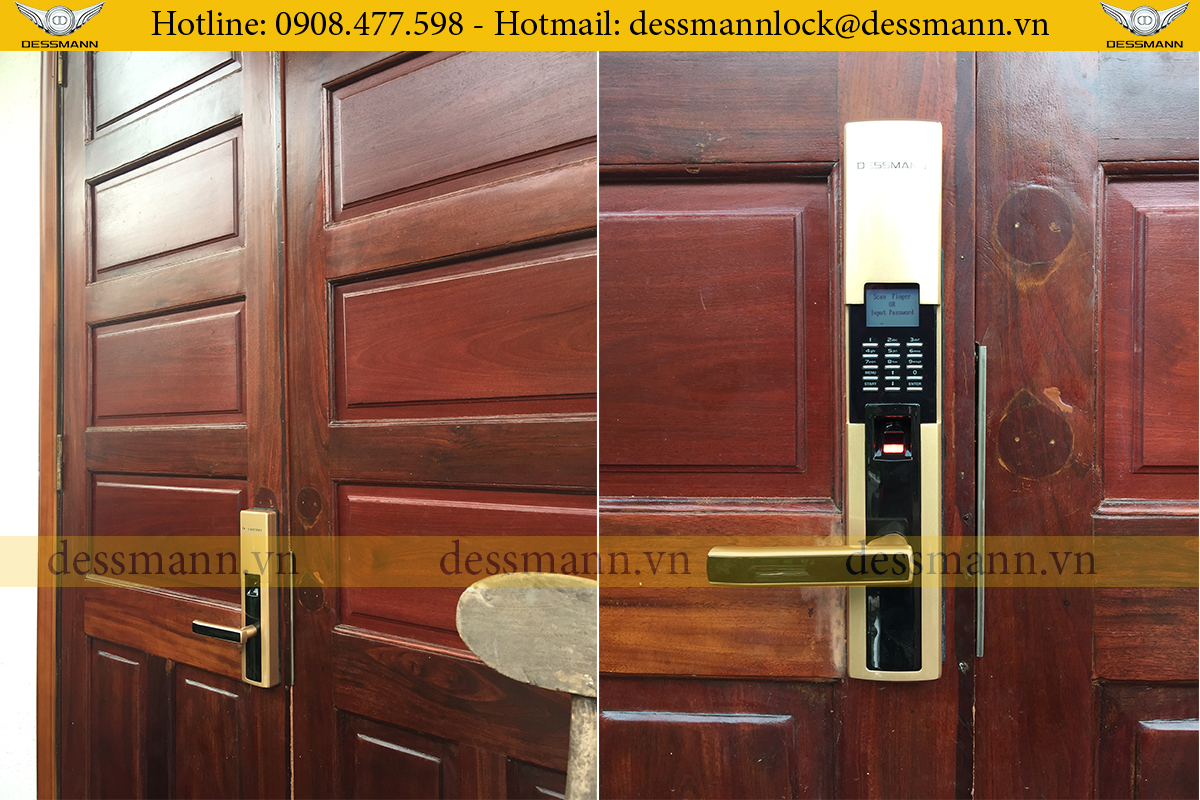 Dessmann S510 II Viet Hung Ha noi
